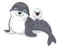Animal seal with cub cartoon vector illustration