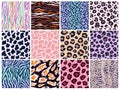 Animal seamless pattern set. Mammals Fur. Collection of Neon color bright Print skin. Fashionable Predators Camouflage