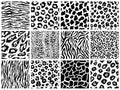 Animal seamless pattern set. Mammals Fur. Collection of print skins. Predators Camouflage. Cheetah Giraffe Zebra Leopard Royalty Free Stock Photo