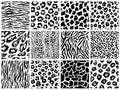 Animal seamless pattern set. Mammals Fur. Collection of print skins. Predators Camouflage. Cheetah Giraffe Zebra Leopard