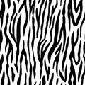 Animal seamless pattern. Zebra texture. Mammals Fur. Print skin. Striped Predator Camouflage. Printable Background Royalty Free Stock Photo