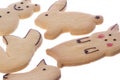 Animal Shaped Biscuits Isolated