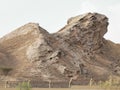 Animal shaped rock in the Jabal Hafeet Mountain Valley, Al Ain,UAE.