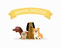 Animal Shelter Banner Template, Dog Help Poster, Pet Care, Adoption, Donation Vector Illustration Royalty Free Stock Photo