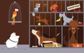 Animal shelter cartoon