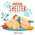 Animal Shelter design poster with child, dog and decorations. Illustration showes animal adoption, care, homeless help. Royalty Free Stock Photo