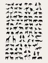 Animal Silhouette Collection