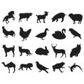 animal silhouette collection. Vector illustration decorative design Royalty Free Stock Photo