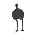 animal silhouette ostrich