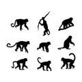 animal silhouette monkey pack Royalty Free Stock Photo