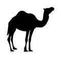 Animal silhouette walking camel illustration minimal creative art