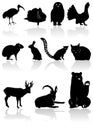 Animal silhouettes