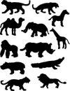 Animal Silhouettes