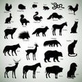 Animal silhouettes Royalty Free Stock Photo