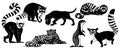 Animal silhouettes set isolated on white. Lemur, Raccoon, Hound, Leopard, Marbled Ferret, Ground Squirrel, Ringtail Cat.