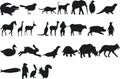 Animal Silouettes Royalty Free Stock Photo