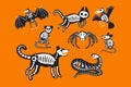 Animal skeleton halloween celebration set vector Royalty Free Stock Photo