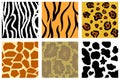 Animal skin Royalty Free Stock Photo