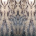 animal skin, cat stripes, cat hairs, fur, animal hairs, fur, animal print, striped skin