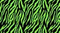 Animal skin on dark background. zebra pattern Royalty Free Stock Photo