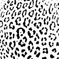 leopard skin pattern