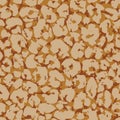 Animal skin print. Leopard`s spotted fur seamless pattern design Royalty Free Stock Photo