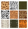 Animal skin seamless pattern set Royalty Free Stock Photo