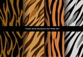 Animal skin seamless pattern set. Mammals Fur. Collection of print skins. Printable Background. Vector illustration. Royalty Free Stock Photo