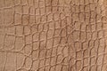 Animal skin texture close up Royalty Free Stock Photo