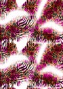 Animal skin texture with pink flowers. Zebra and Leopard fashionable pattern. - illustration.