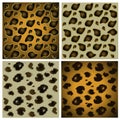 Animal skin textures