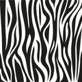 Animal skin zebra pattern design.