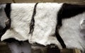 Animal skins fur