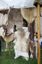 Animal skins and pelts for sale