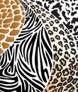 Animal skins. Vector illustration Royalty Free Stock Photo