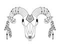 Animal skull in boho style with geometric ornaments and bird feathers. Tribal illustration in simple style