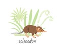 Animal solenodon isolated on white background. Tropical. Vector flat illustration