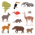 Animal in South America vector wild animalistic mammal character capybara tapir toucan in southern wildlife illustration Royalty Free Stock Photo