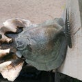 an animal statue of a fish and shells by water puddle