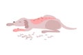 Animal Testing Flat Icon Royalty Free Stock Photo