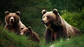 Animal in their natural environment, bears in local wild life forest , generated AI