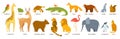 Animal titles cartoon set alphabet for kids educational learning illustration design collection card Royalty Free Stock Photo