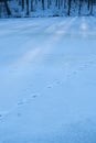 Animal trace path on uneven snow surface of frozen lake, winter forest shore sun dawn, deep shadows, outdoor active hobby, nature