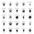 Animal track prints set. Paw prints art. Paw prints isolated image