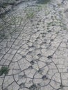 Animal Tracks in Dry Cracked Mud in Arizona Royalty Free Stock Photo