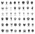 Animal tracks. Footprints of swan, llama and donkey, cat. Owl, dog and mouse, dove and zebra paw prints isolated vector