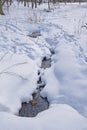 Animal Tracks by an Open Stream in Winter