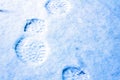 animal trail on fresh snow close-up