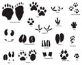 Animal trails with title Royalty Free Stock Photo