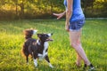 Animal trainer learning her dog command to stay Royalty Free Stock Photo